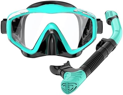 Snorkeling Gear for Adults,Snorkel Mask Adult Dry Snorkel Set Panoramic View Anti-Fog Scuba Diving Mask,Swimming Glasses Swim Dive Mask for Snorkeling Swimming Travel,Snorkeling Kit Diving Packages